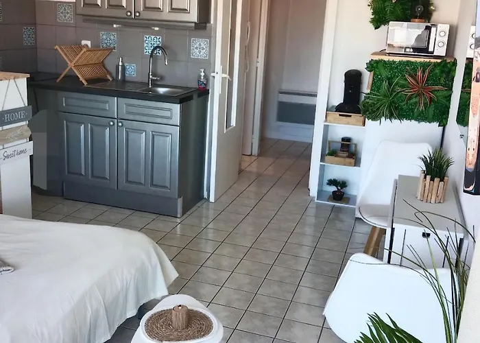 Evasion Oceane Centre Wifi Parking Appartement