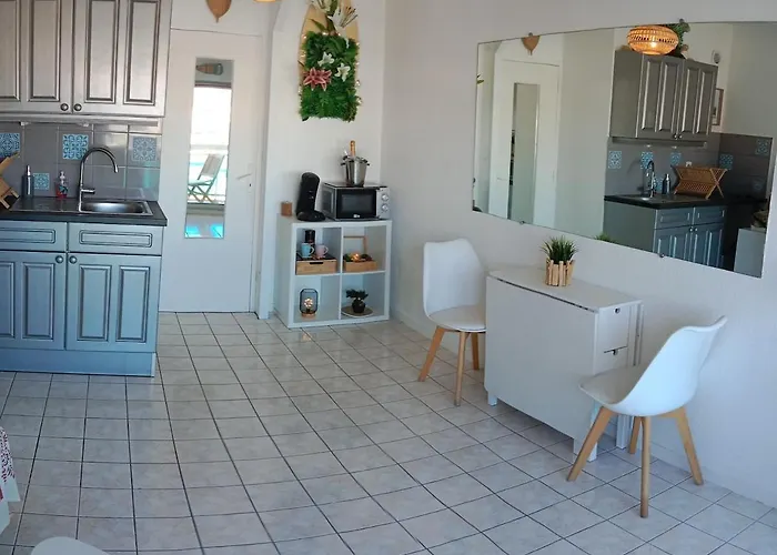Evasion Oceane Centre Wifi Parking Appartement *