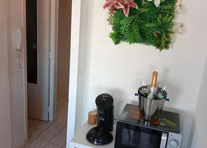 Appartement Evasion Oceane Centre Wifi Parking *